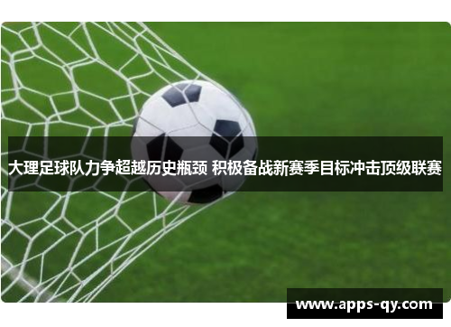 大理足球队力争超越历史瓶颈 积极备战新赛季目标冲击顶级联赛