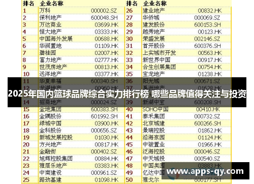 2025年国内篮球品牌综合实力排行榜 哪些品牌值得关注与投资