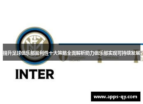 提升足球俱乐部盈利性十大策略全面解析助力俱乐部实现可持续发展