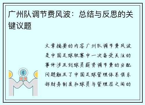 广州队调节费风波：总结与反思的关键议题