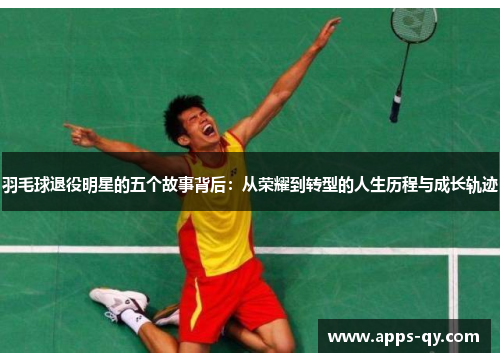 羽毛球退役明星的五个故事背后：从荣耀到转型的人生历程与成长轨迹