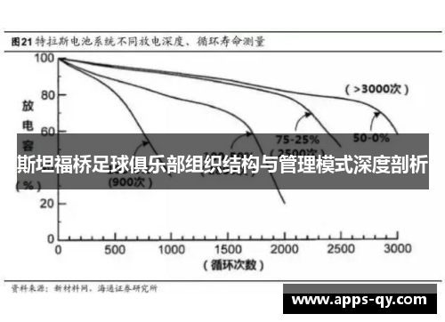 斯坦福桥足球俱乐部组织结构与管理模式深度剖析